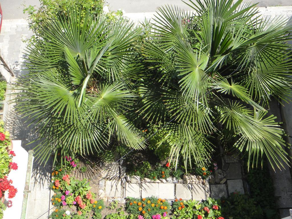 Guest House Eos سوزوبول المظهر الخارجي الصورة